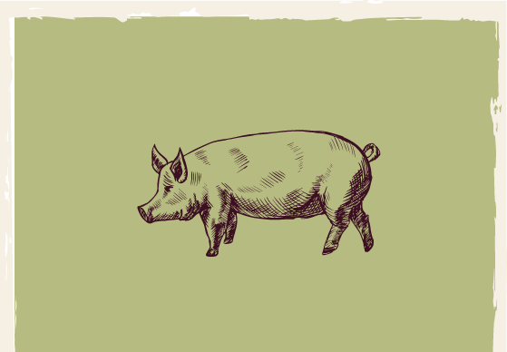 Schwein Icon